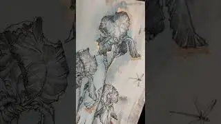Интерьерная графика, 