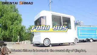China Food Bus Mobile Kitchen Hot Dog Cart Bus Electric Electric Solar Van