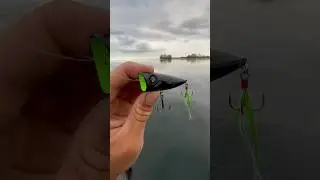 This TOPWATER Lure Catches Fish&hellip;