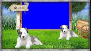 Green Screen Spring Frame
