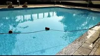 Swimming Pool Maintenance Services | Prince Services | #pool #poolmaintenance | #swimmingpool