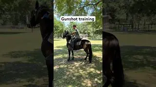 Spooky horse and gun shot training #horse #horsetraining #equestrian #western #cowboy #farm #ranch