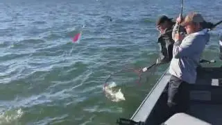 Salmon Fishing Astoria 2016 - LeakyWadersFishing