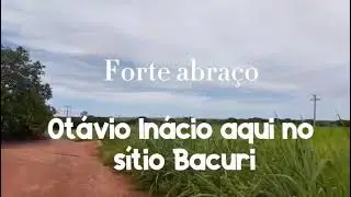 As Bênçãos do Sítio Bacurí 