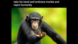 reject humanity return to monke