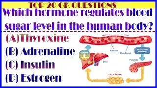 “20 New GK Questions for Competitive Exams  Most Expected MCQs