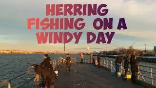 Herring Fishing at Magnolia Pier | Long Island