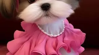 I like the pink Evan Moore 