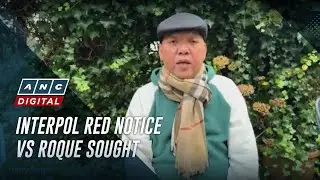 DOJ: Up to Netherlands to enforce potential Interpol arrest vs Harry Roque | ANC