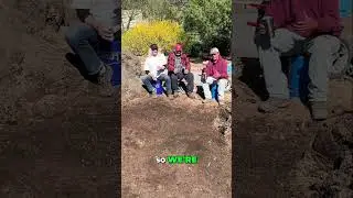 No-Till Garden Secret: Revive Your Soil with This Easy Plan!