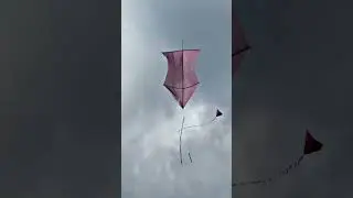 Kite Flying 🪁In Japan Pipa Combate Karta Ohi Kaam #shorts #kiteflying #ad #viral #pipacombate