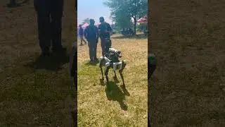 #digidog #backpackerpapiya #nypd #robodog #nyc #usa