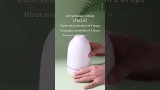 Creating an essential oil blend for concentration
