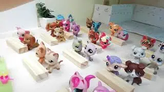LPS Popular I rész
