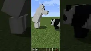 Panda VS Polar Bear #shorts