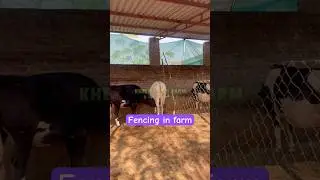 Fencing ideas for farm #cow #farming #fencing #cow #baffalo #kdfbhogipur