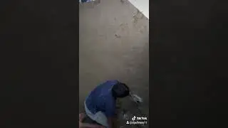 Como embolsar