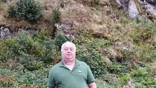 Недавно мы устроили себе небольшой отпуск и отправились в горы, в Виллинген Kommt mit nach Willingen