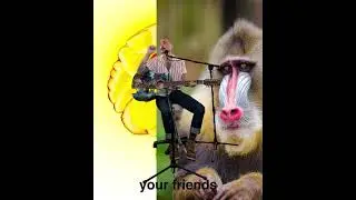 Daniel Cooper - American Animals // THERAPY SESSION (Live Performance)
