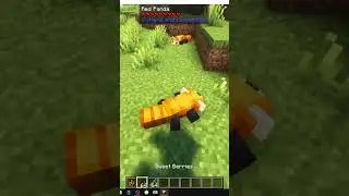Comment apprivoiser des pandas rouges dans Minecraft avec Critters and Companions
