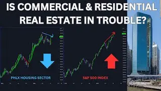SHOCKING New data about the REAL ESTATE MARKET reveals all!