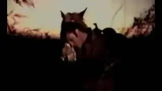 Plus jamais je ne danserai