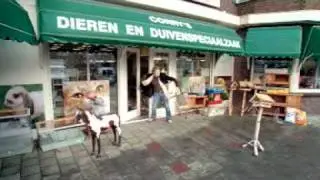 Eneco - Wind