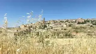 El campanar de Santa Maria de Cervera