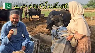 Wife Enjoying a village life in Pakistan 🇵🇰
