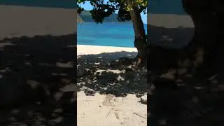 Long Bay Beef Island