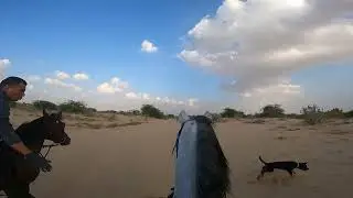 Desert Hack - Evening horse ride with the boys