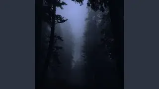 nothing left to lose