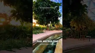 Como &eacute; a atra&ccedil;&atilde;o Living with the Land no parque Epcot na Disney Orlando ?