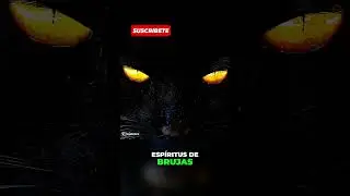 Misterio y Superstici&oacute;n en la Vida Cotidiana | Libro: El Gato Negro