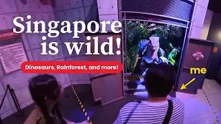 Jurassic World Singapore is NEXT LEVEL! 🦖 Rainforest Wild Asia + Gardens by the Bay | SG Vlog 2025