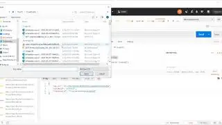 File Based API Testing Using Postman
