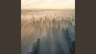 Acid mist
