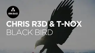 CHRIS R3D & T-NOX - Black Bird [EDM Sauce Copyright Free Records]