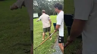Phil Irwin, snake wrangler.