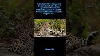 Islamabad Wildlife Management Board Restarts Guided Tours of Leopard Zone