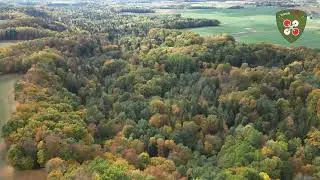 Lot swobodny dronem nad doliną rzeki Wałszy, czyli nad najstarszym w Europie rezerwatem przyrody.