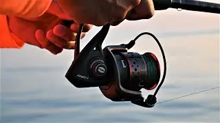 PRO FISHING TIPS: LIVE-LINING FOR STRIPED BASS