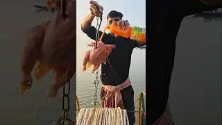 Biggest chicken bait throw #fishing #fishingbait