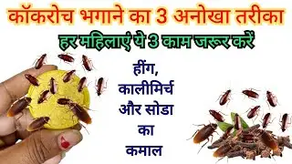 कॉकरोच भगाने का सबसे आसान तरीका 😱 | Cockroach Killer | Remedy | Get Rid Of Cockroach | 3 अनोखा तरीका