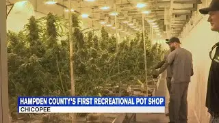 First Hampden County recreational maijuana shop is opening today