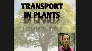 Transport in plants 03 | short distance transport | simple diffusion | #neet2024 #biology