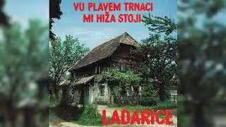 ANSAMBL LADARICE - NEKAJ GRMI Z OTROVANCA