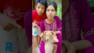 Tom 🍓Jerry (Rithvi&Kavi)Real  End Twist 🤣🎈 #shorts