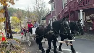 Horse Carriage Ride In Historic Dutch Flat
