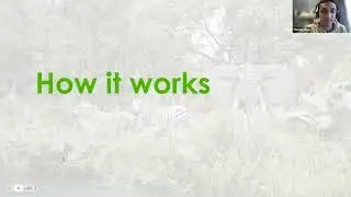 Green Match Fund 2024: Multi-Model Explainer